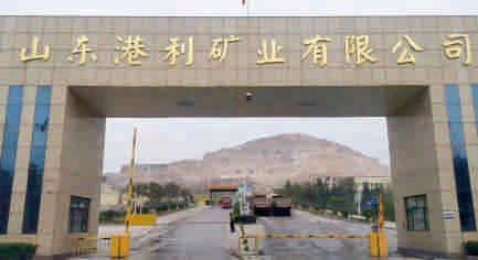 山东港利集团